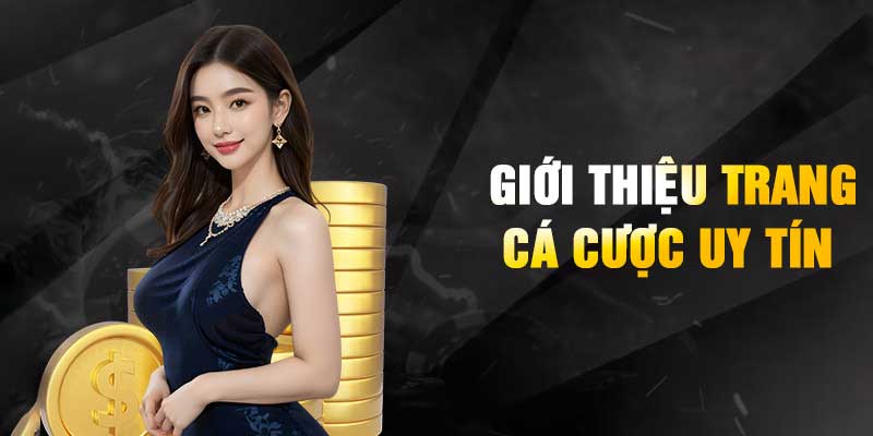 Tổng quan giới thiệu về 888TO